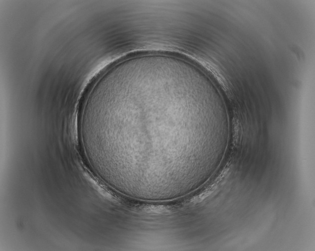 X0000115190982200911121818