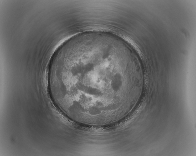 X0000115190983200911121818
