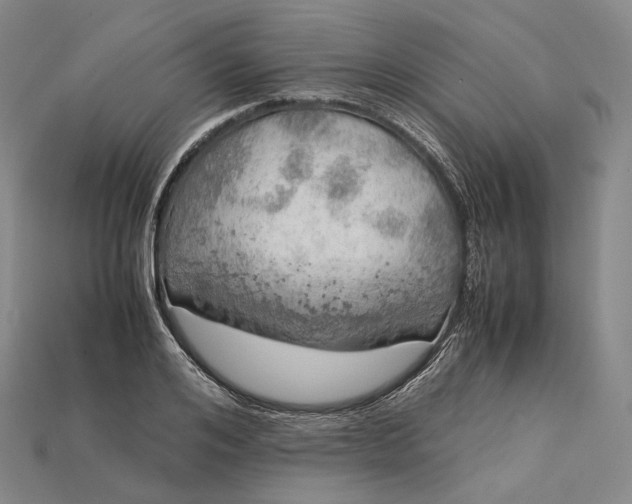 X0000115190984200911121818