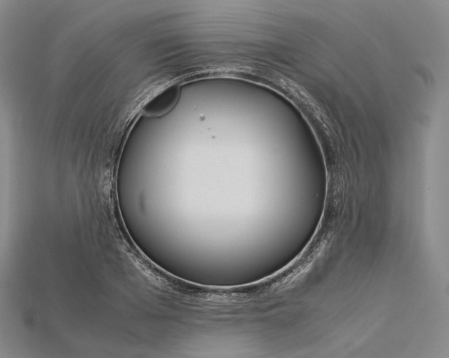 X0000115190985200911121818