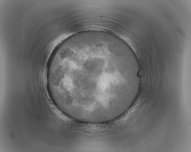 X0000115190987200911121818