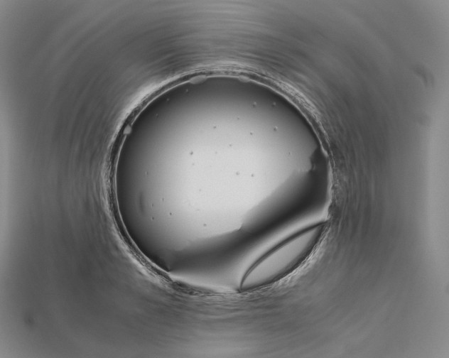 X0000115190989200911121818