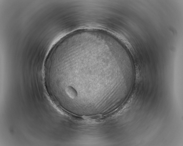 X0000115190990200911121818
