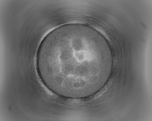 X0000115190991200911121818