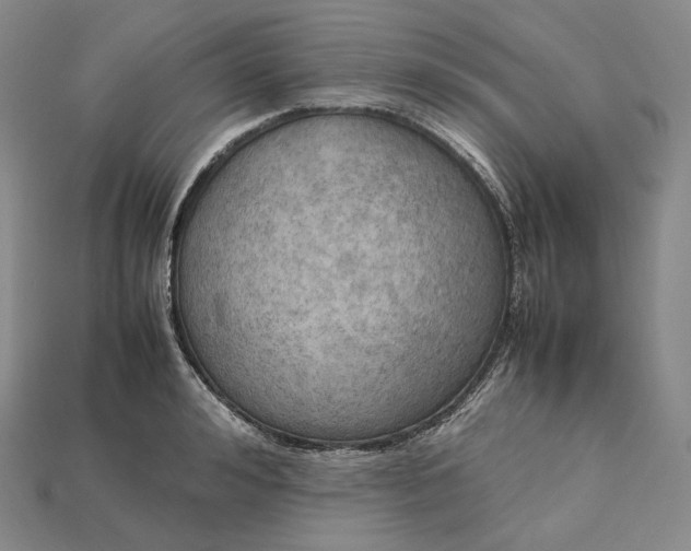 X0000115190992200911121818