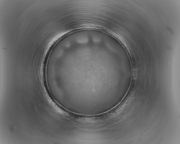 X0000115190995200911121818