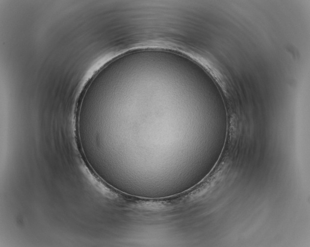 X0000115190998200911121818