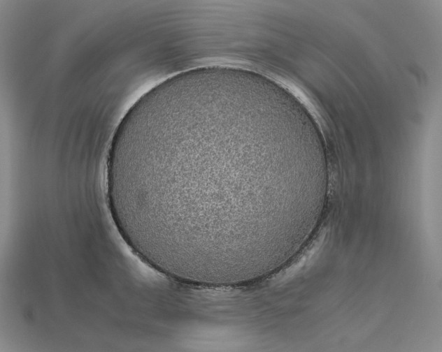 X0000115190999200911121818