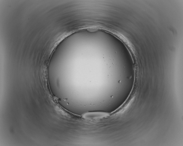 X0000115191001200911121818