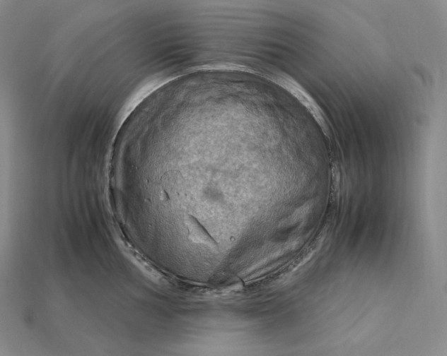 X0000115191002200911121818