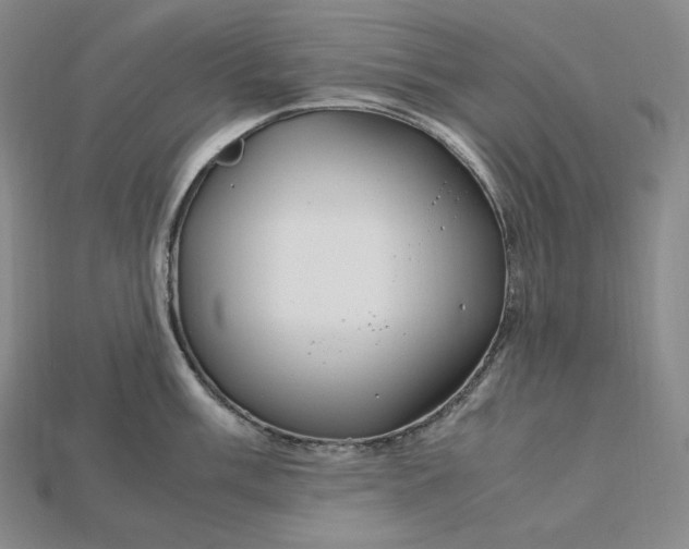 X0000115191003200911121818