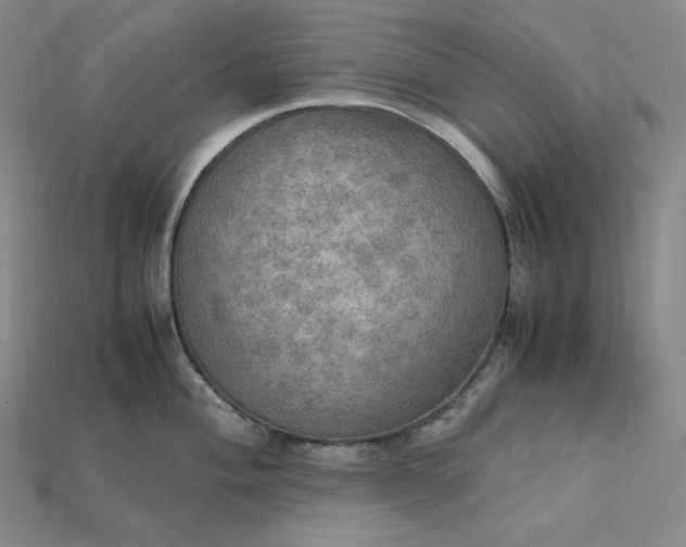 X0000115191004200911121818
