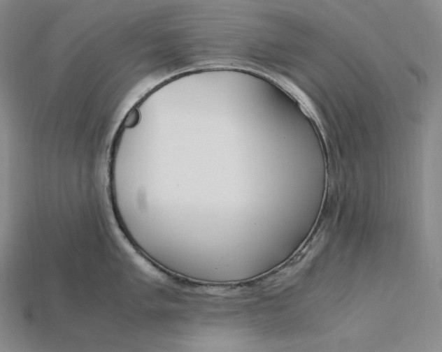 X0000115191005200911121818