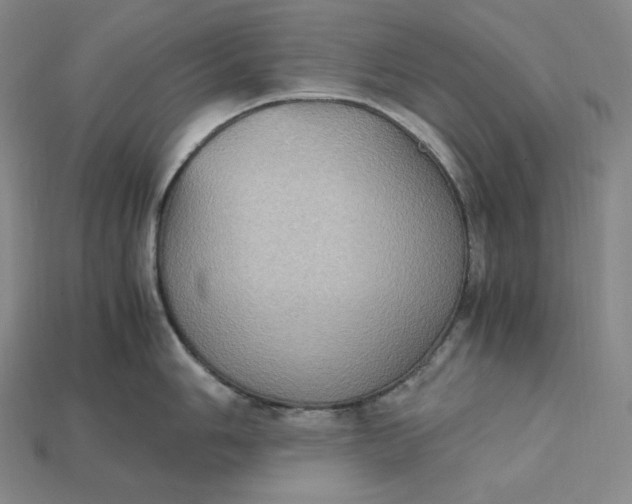 X0000115191006200911121818