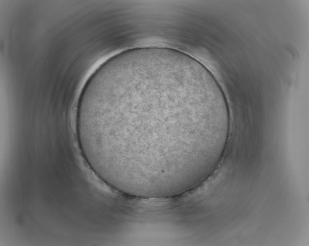 X0000115191008200911121818