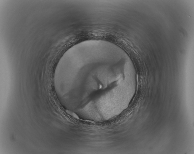 X0000115191009200911121817