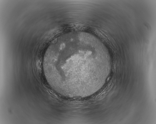 X0000115191010200911121817