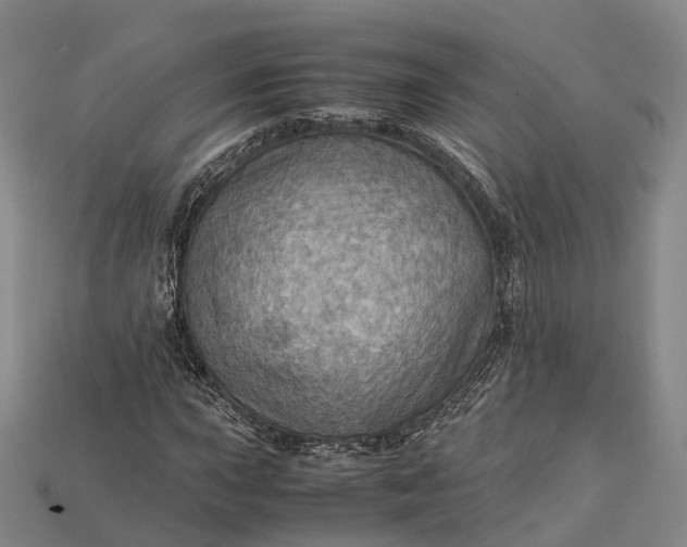 X0000115191015200911121817