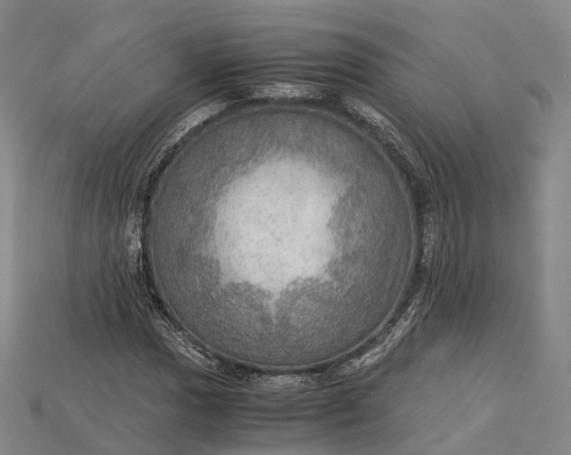 X0000115191017200911121817