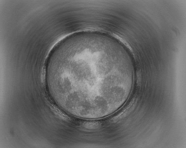 X0000115191021200911121817