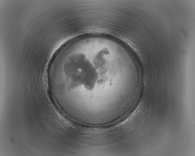 X0000115191022200911121817