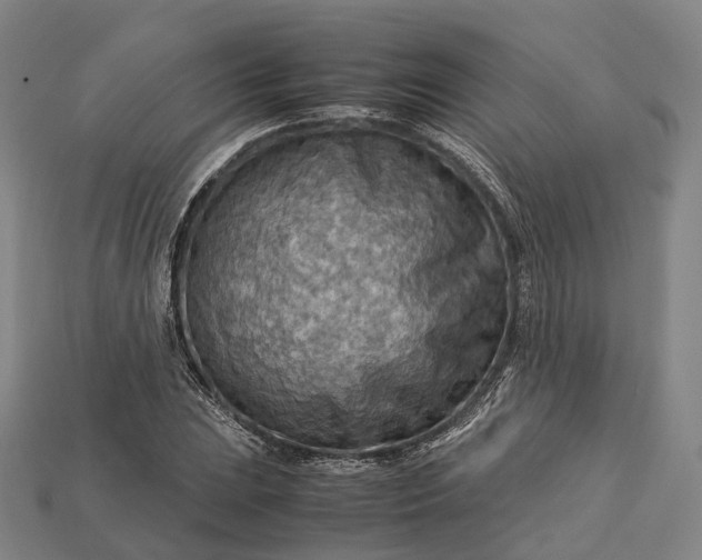 X0000115191023200911121817