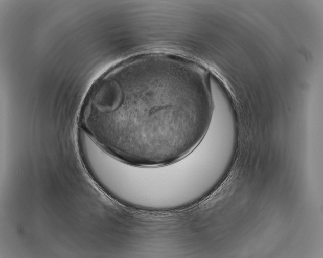 X0000115191024200911121818