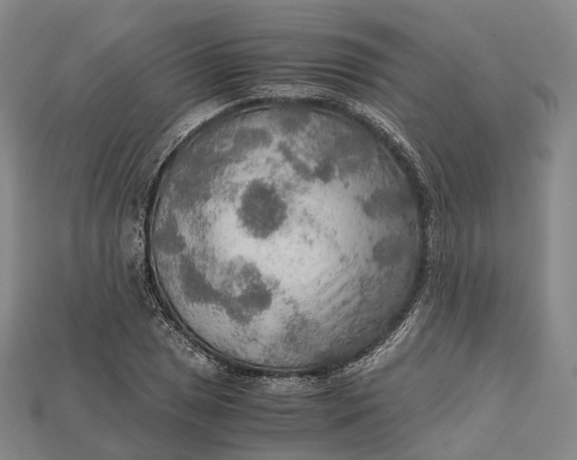 X0000115191025200911121818