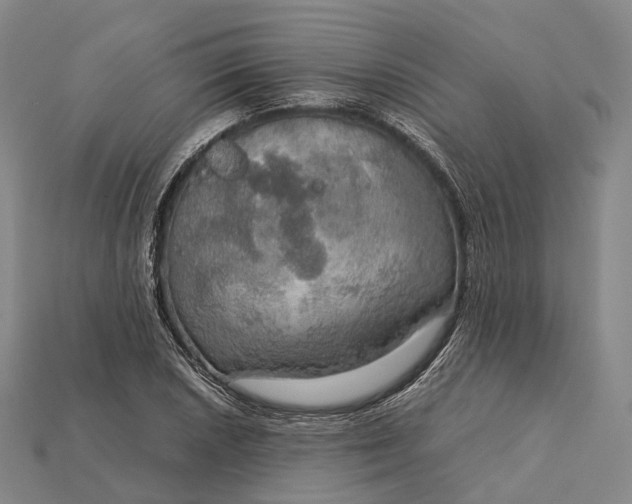 X0000115191026200911121818