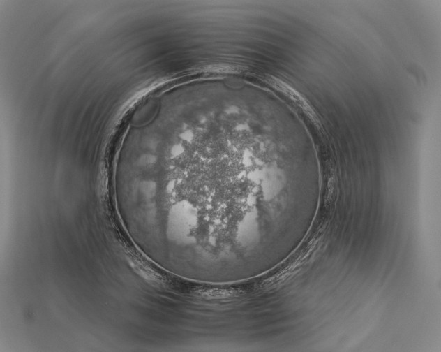 X0000115191027200911121818