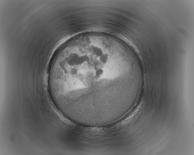 X0000115191029200911121818