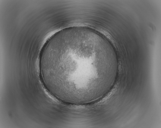 X0000115191030200911121818