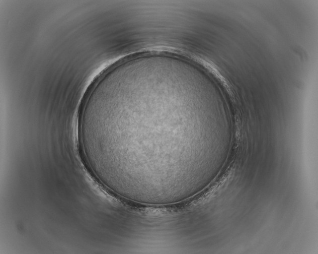 X0000115191032200911121818