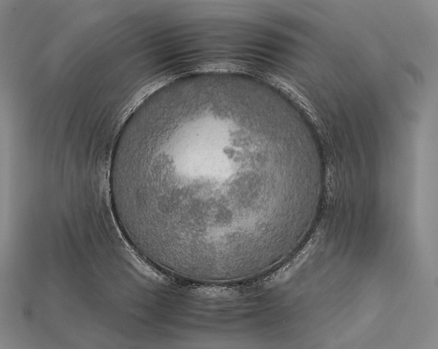X0000115191033200911121818