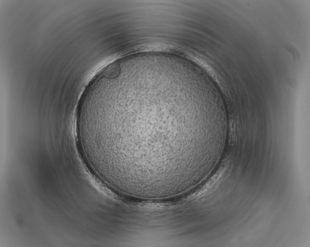 X0000115191034200911121818
