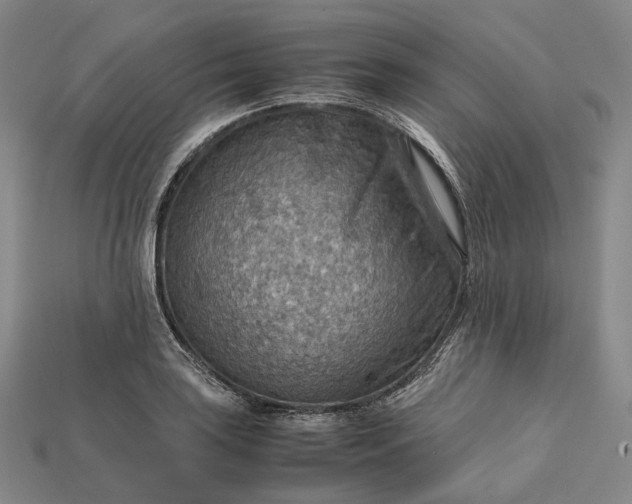 X0000115191035200911121818