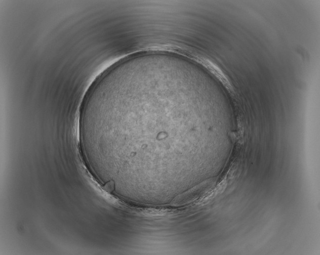 X0000115191036200911121818