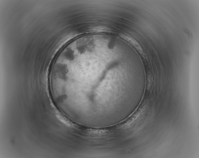 X0000115191039200911121818