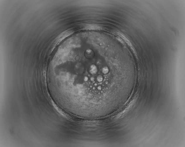 X0000115191041200911121818