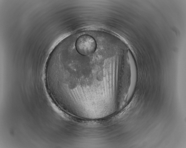 X0000115191042200911121818
