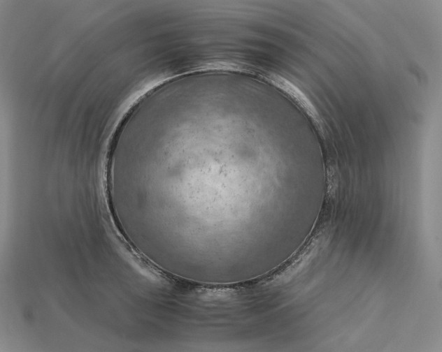 X0000115191043200911121818
