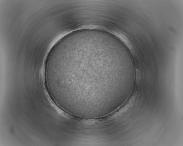 X0000115191046200911121818
