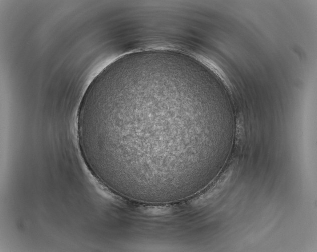X0000115191047200911121818