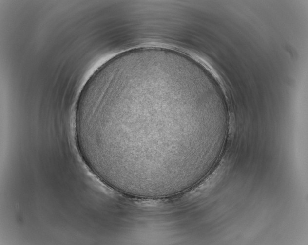 X0000115191048200911121818