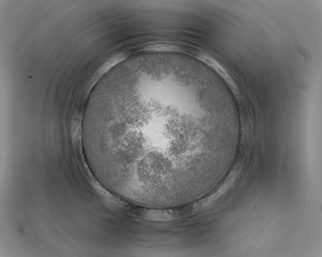 X0000115191049200911121818
