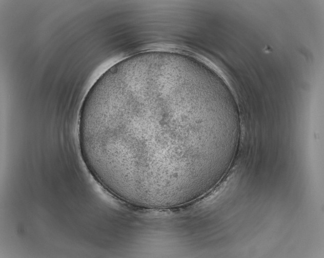 X0000115191050200911121818