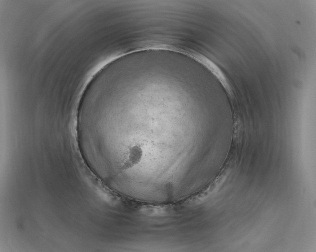 X0000115191051200911121818