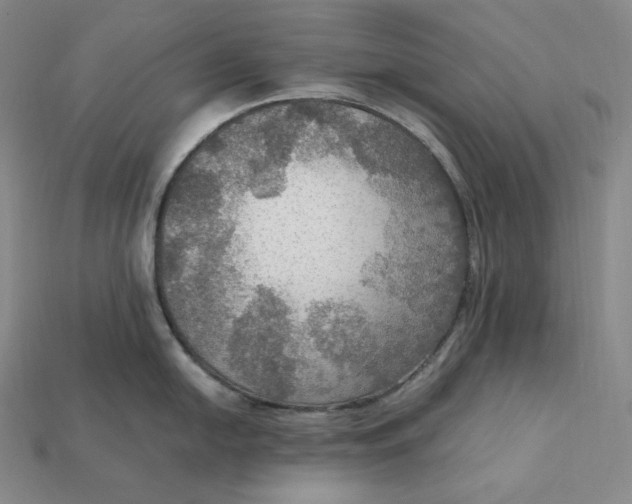 X0000115191054200911121818