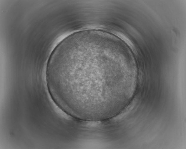 X0000115191055200911121818