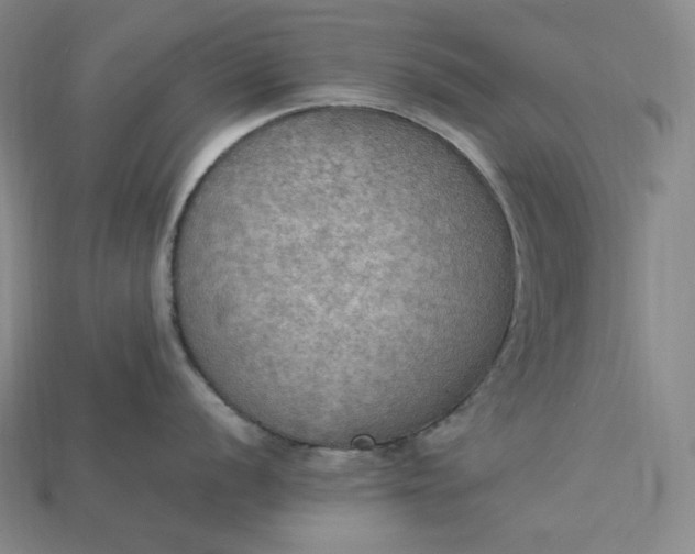 X0000115191056200911121818